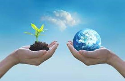 Two hands holding a tiny earth globe and the other holding a plant.