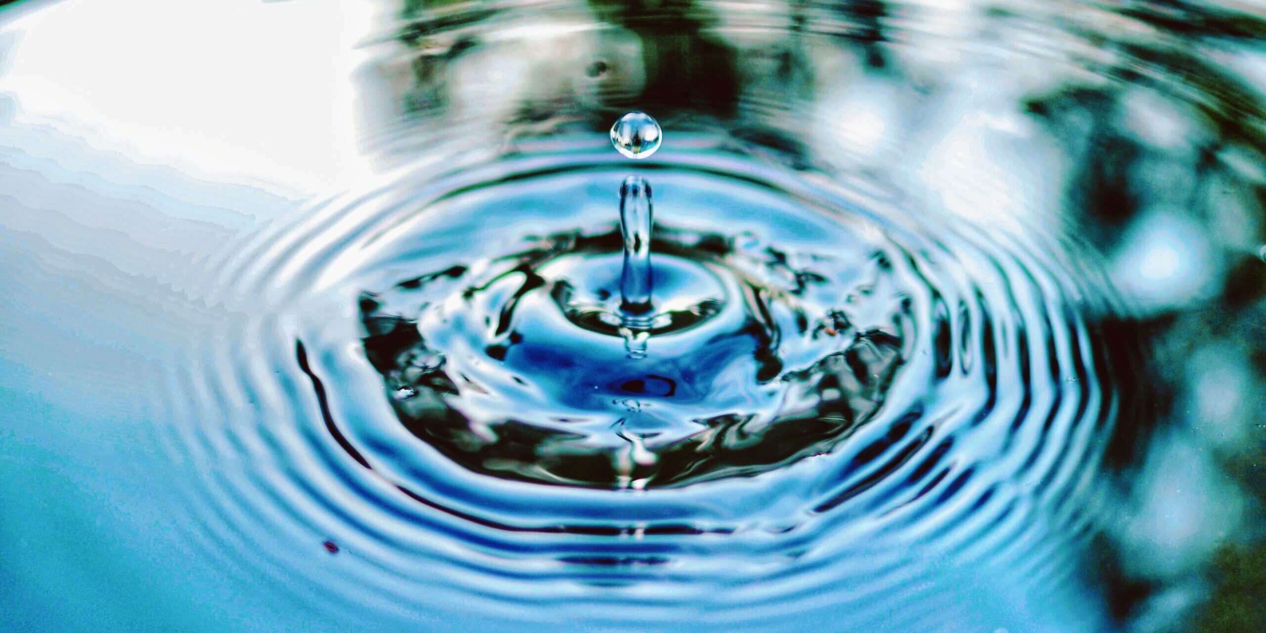 water Stagnant Water