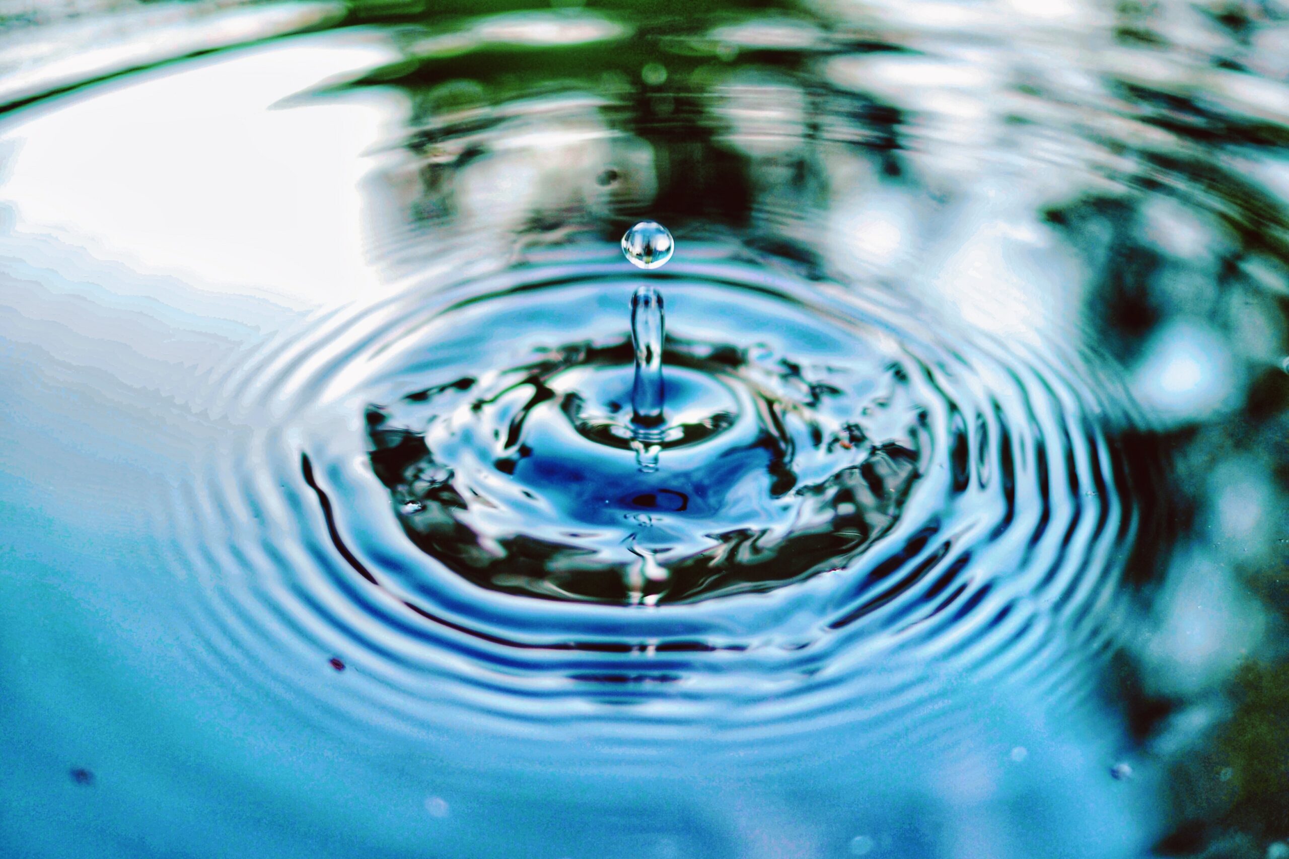 Stagnant Water